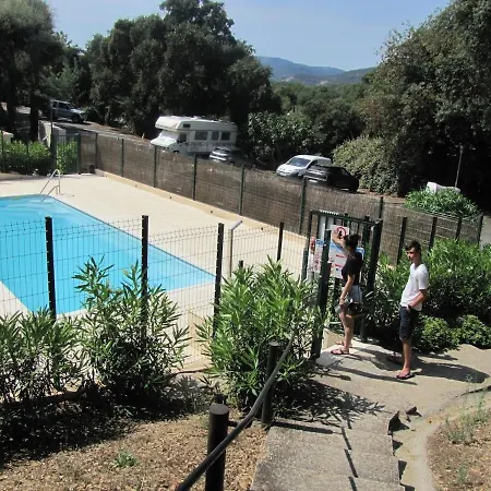 Coquillages Et Crustaces - Piscine & Tennis * جاسّا